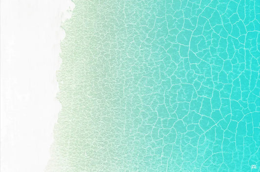 Shallows
