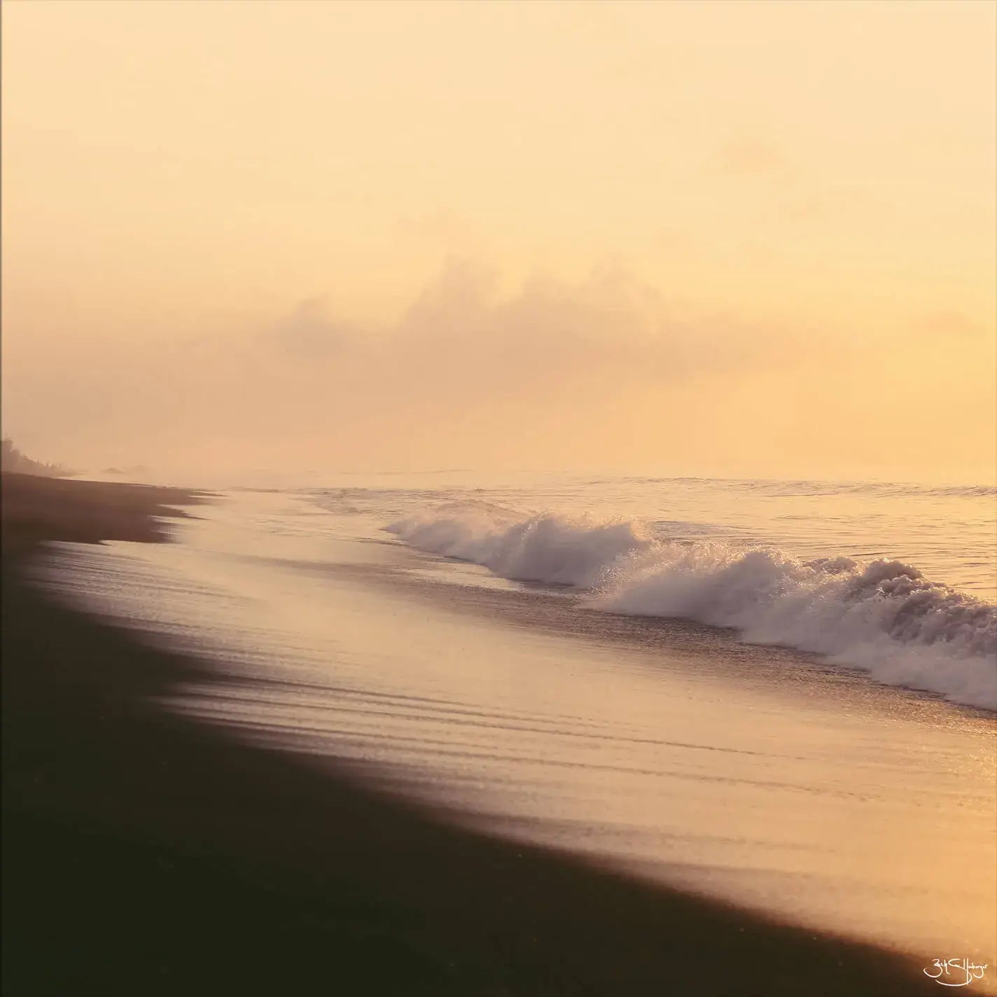 Golden Sunrise