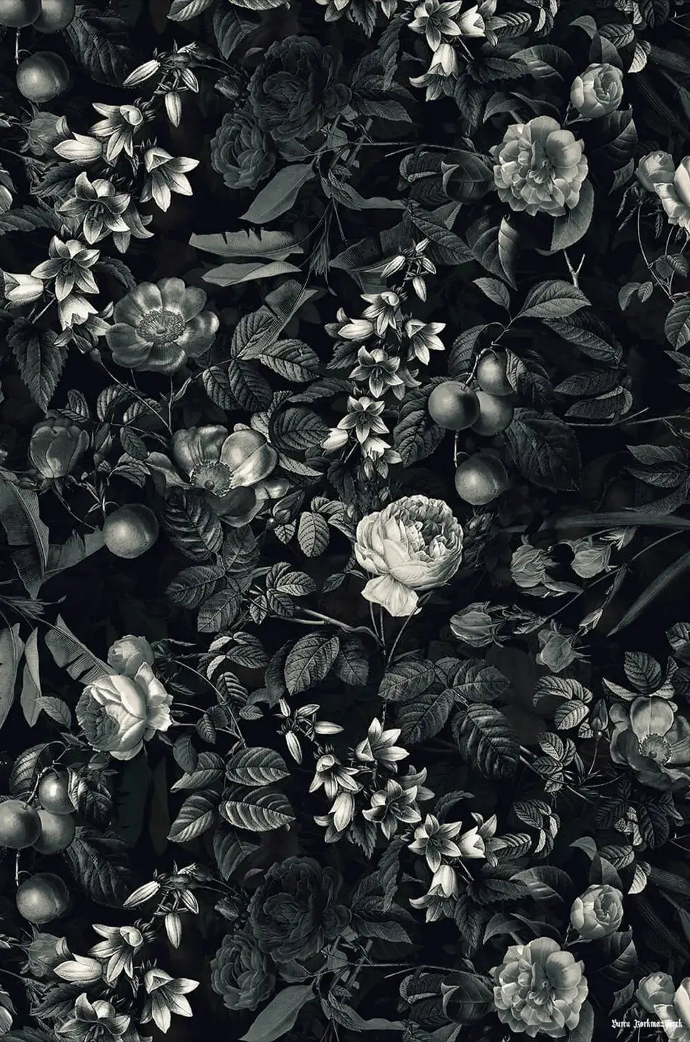 Black Forest III