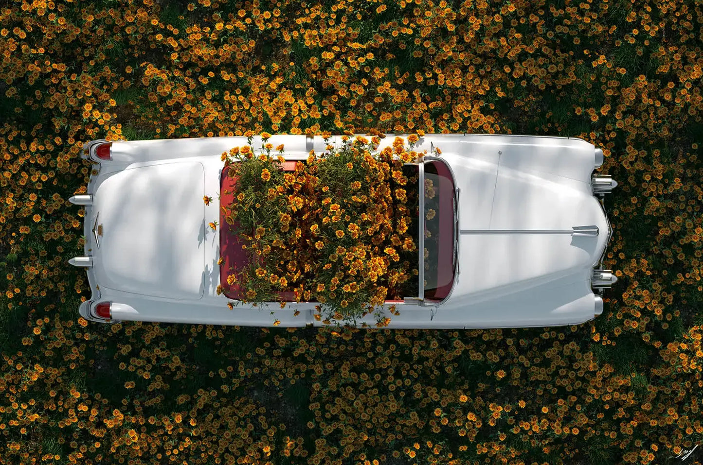 Yellow Flowers