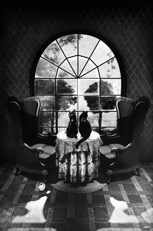 Victorian Room Skull