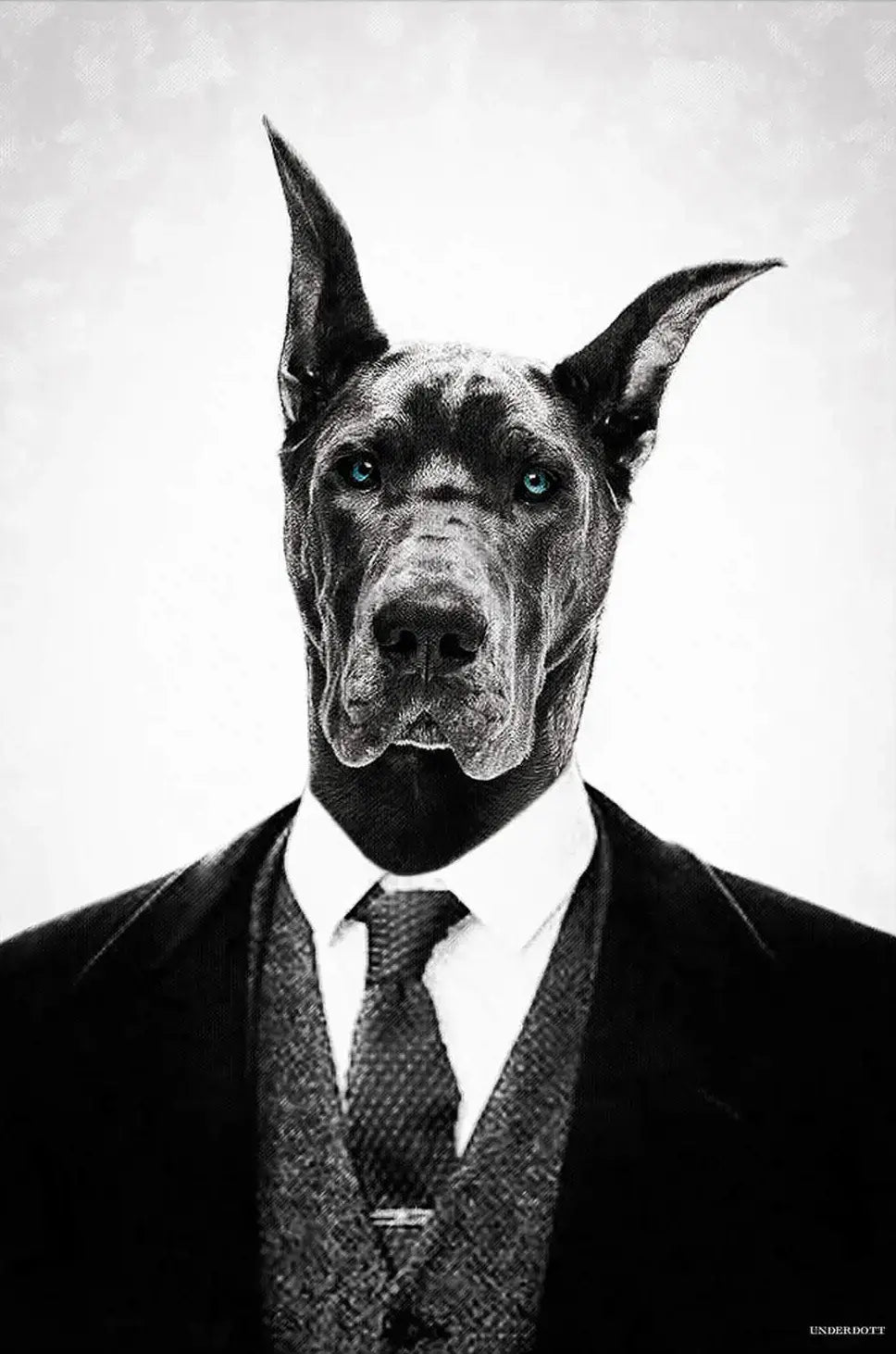 Black Dog