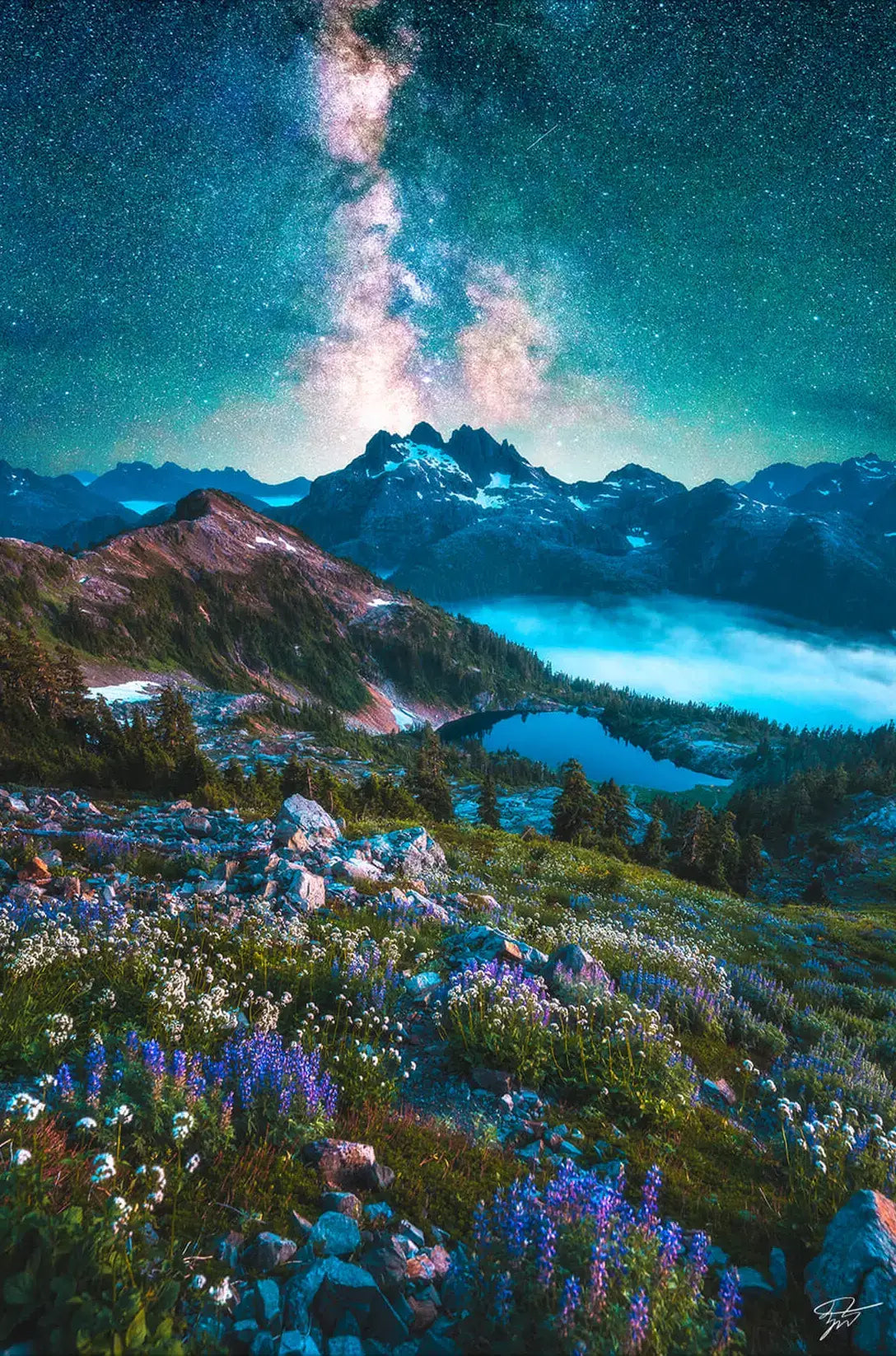 Starry Alpine Dreamland