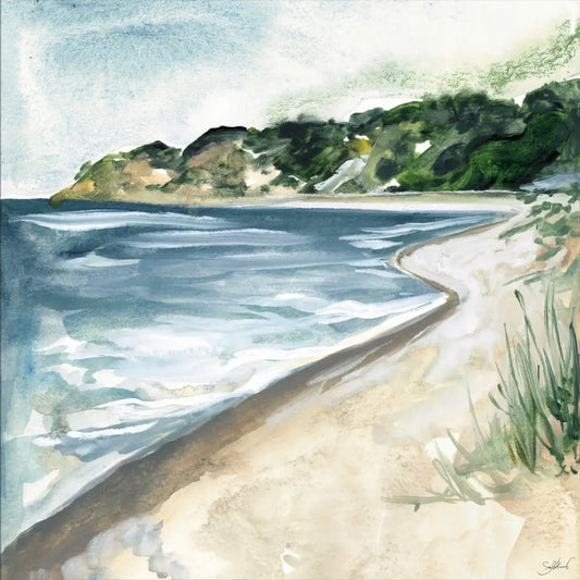 Shore Beach