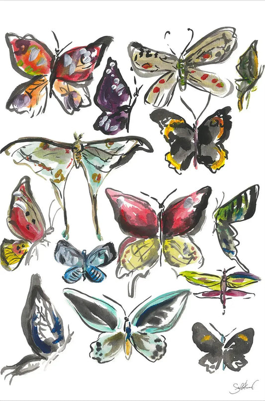 Butterfly Watercolor