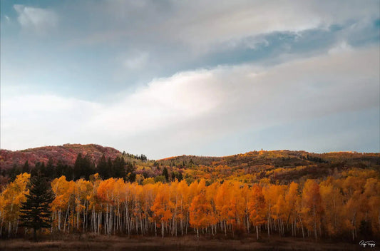 Autumn Hills