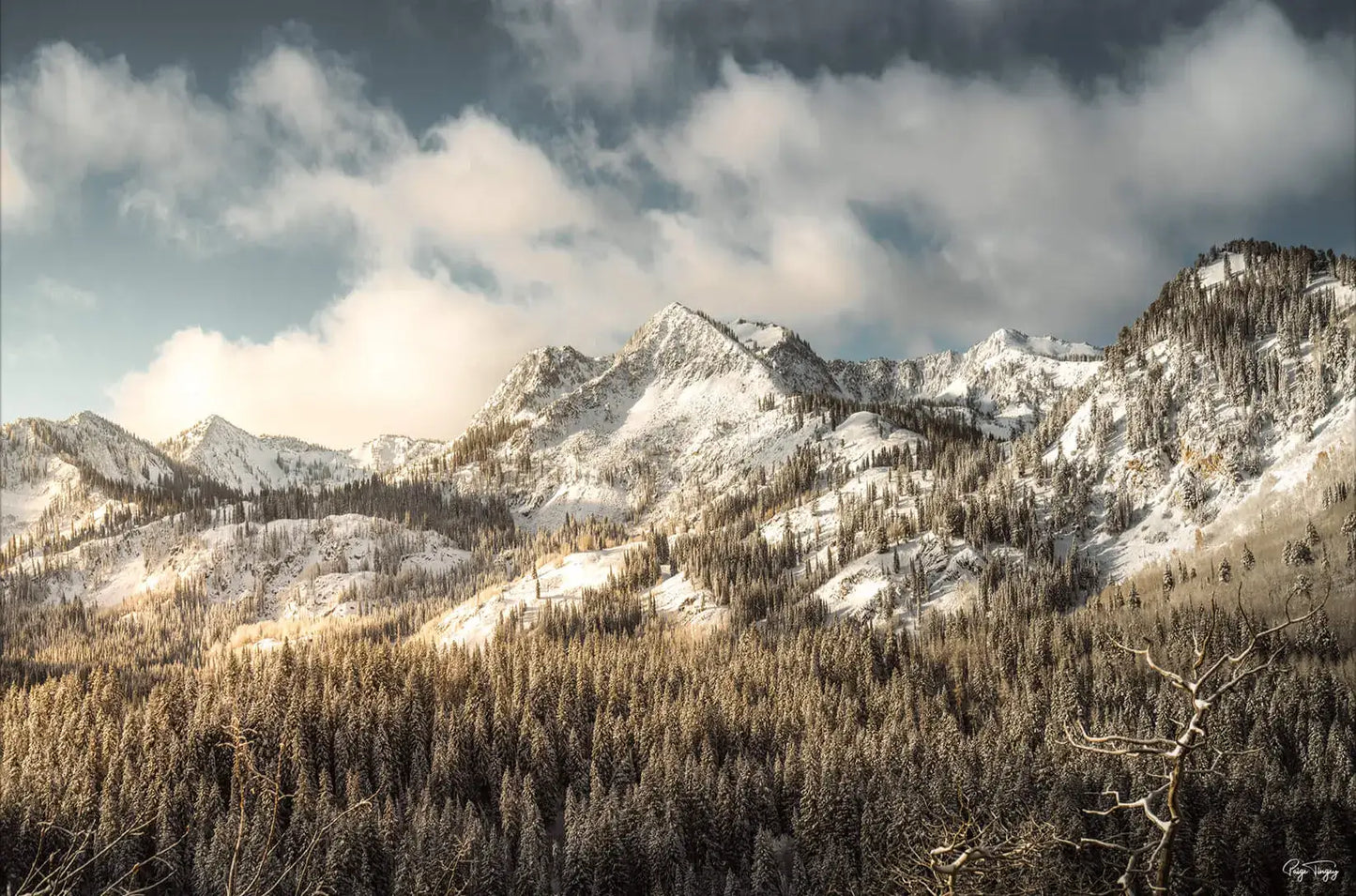 Snowy Peaks