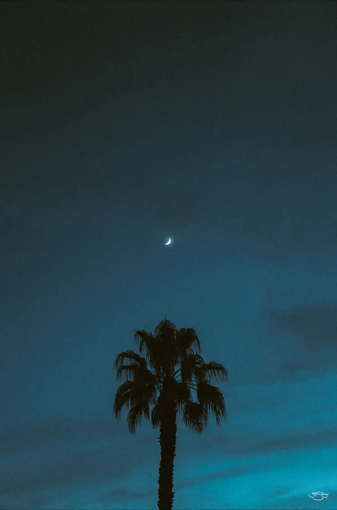 Midnight Moon