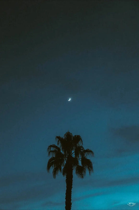 Midnight Moon