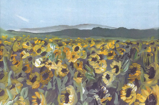 Sunflower Fields