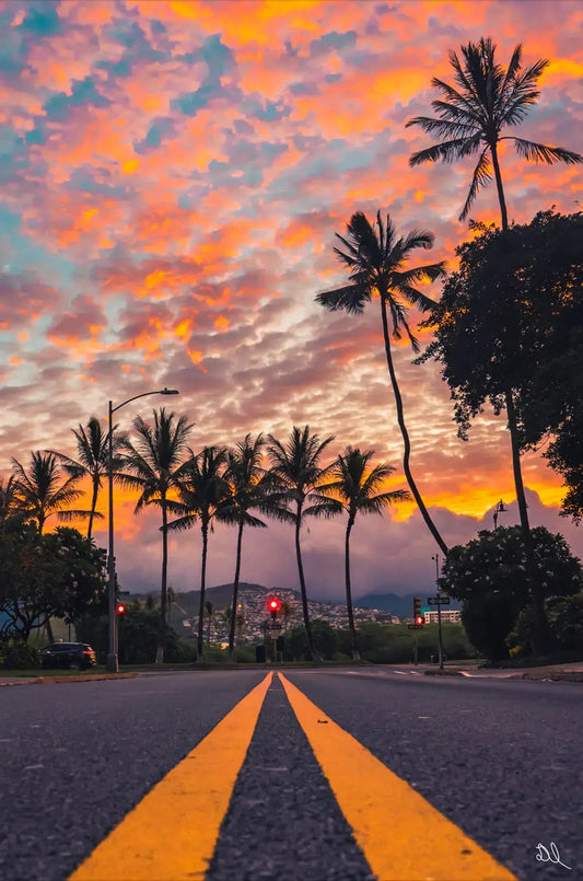 Palm Skies
