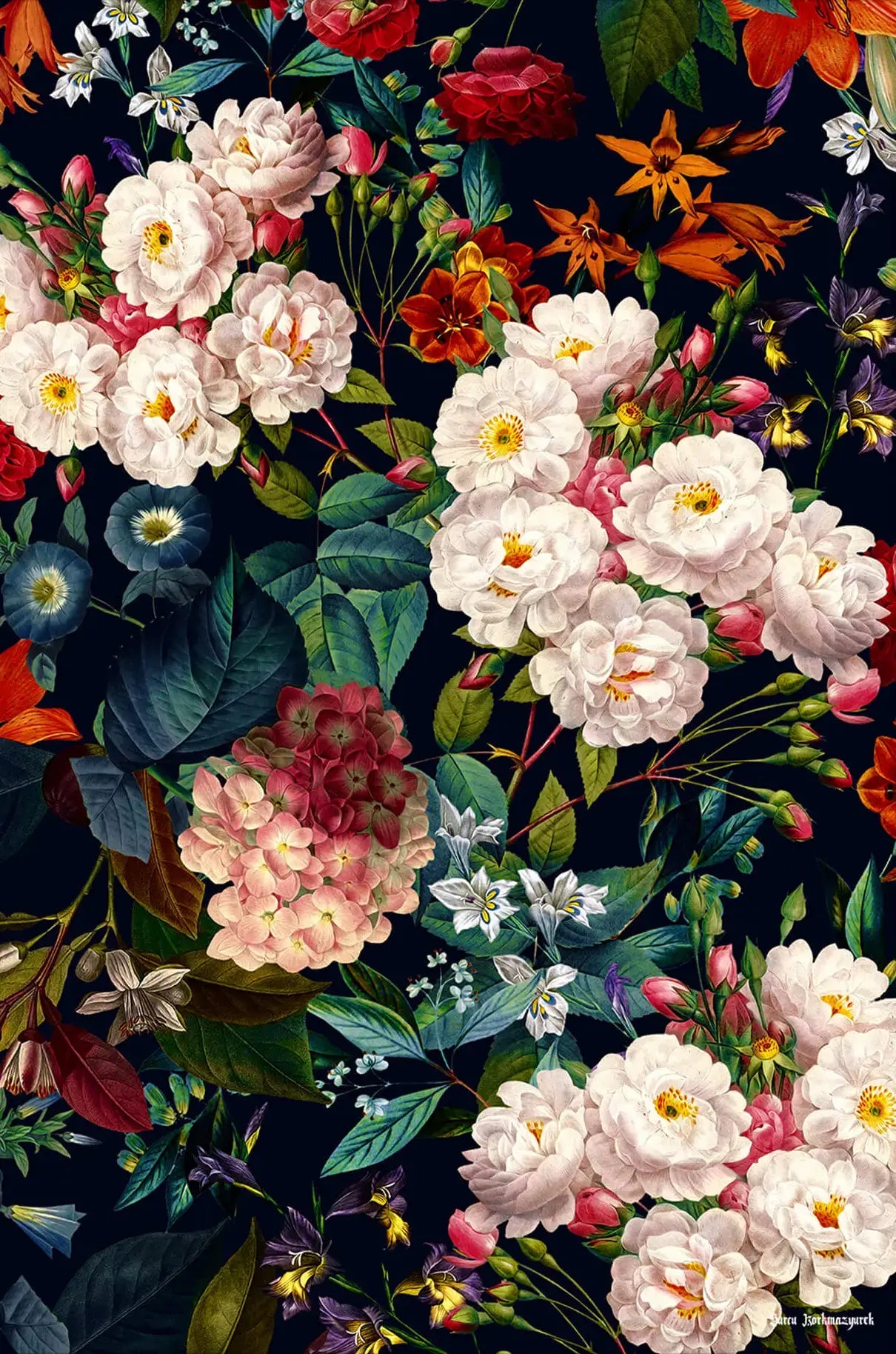 Midnight Garden XXV