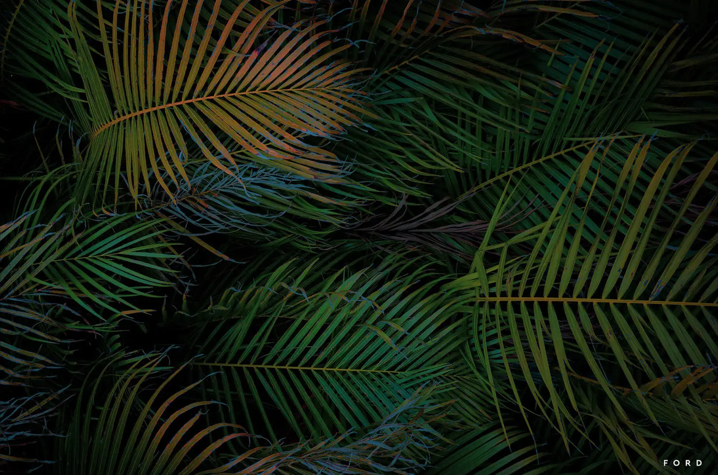 Palm Sundae
