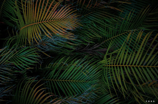 Palm Sundae