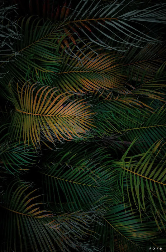 Palm Sundae View