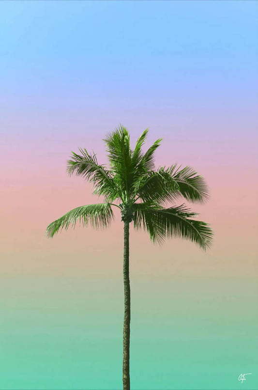 Spectrum