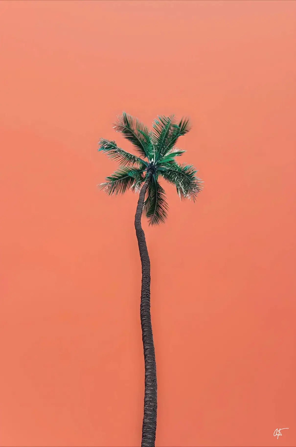 Waikiki