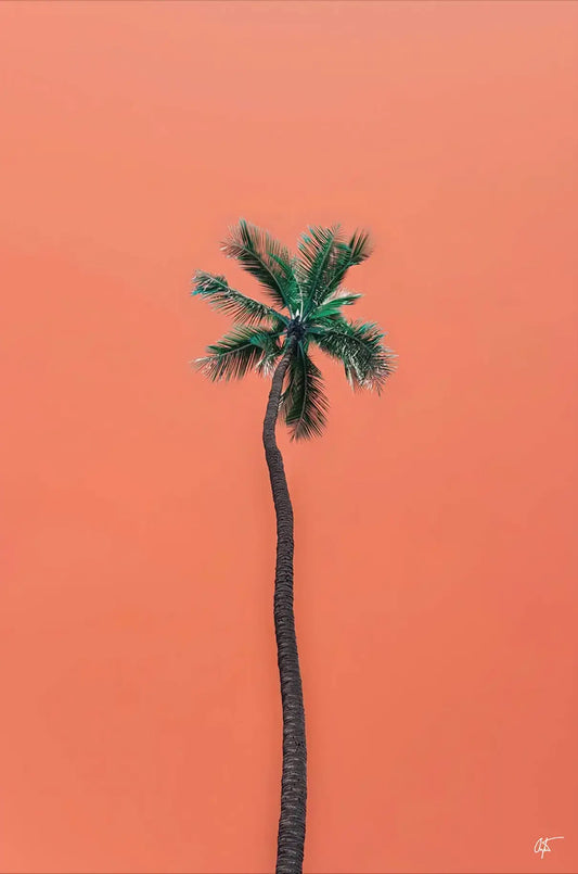 Waikiki