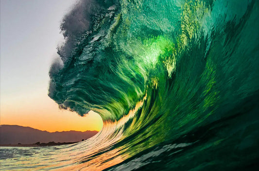 Backlit Surf