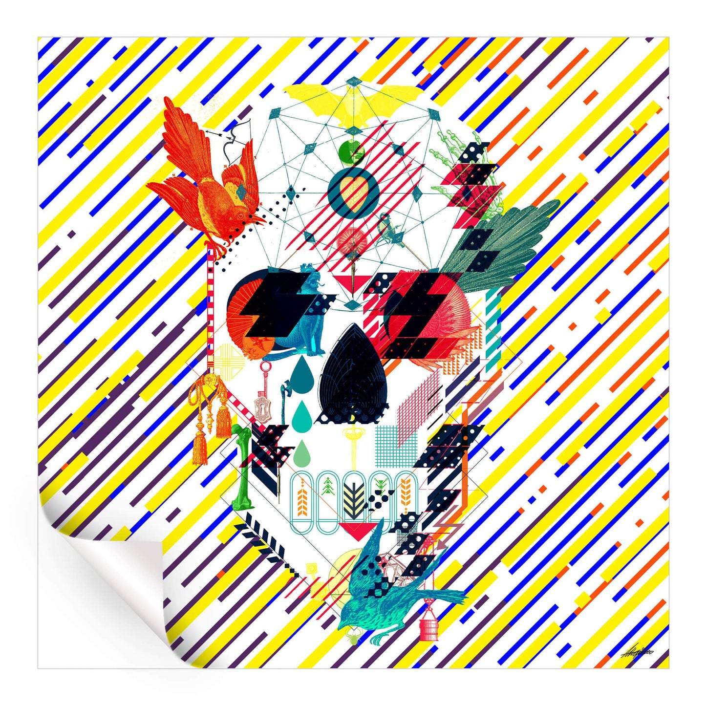 Abstract Skull