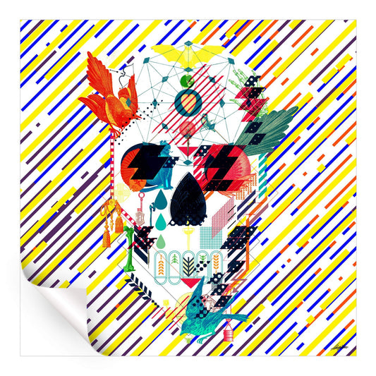 Abstract Skull