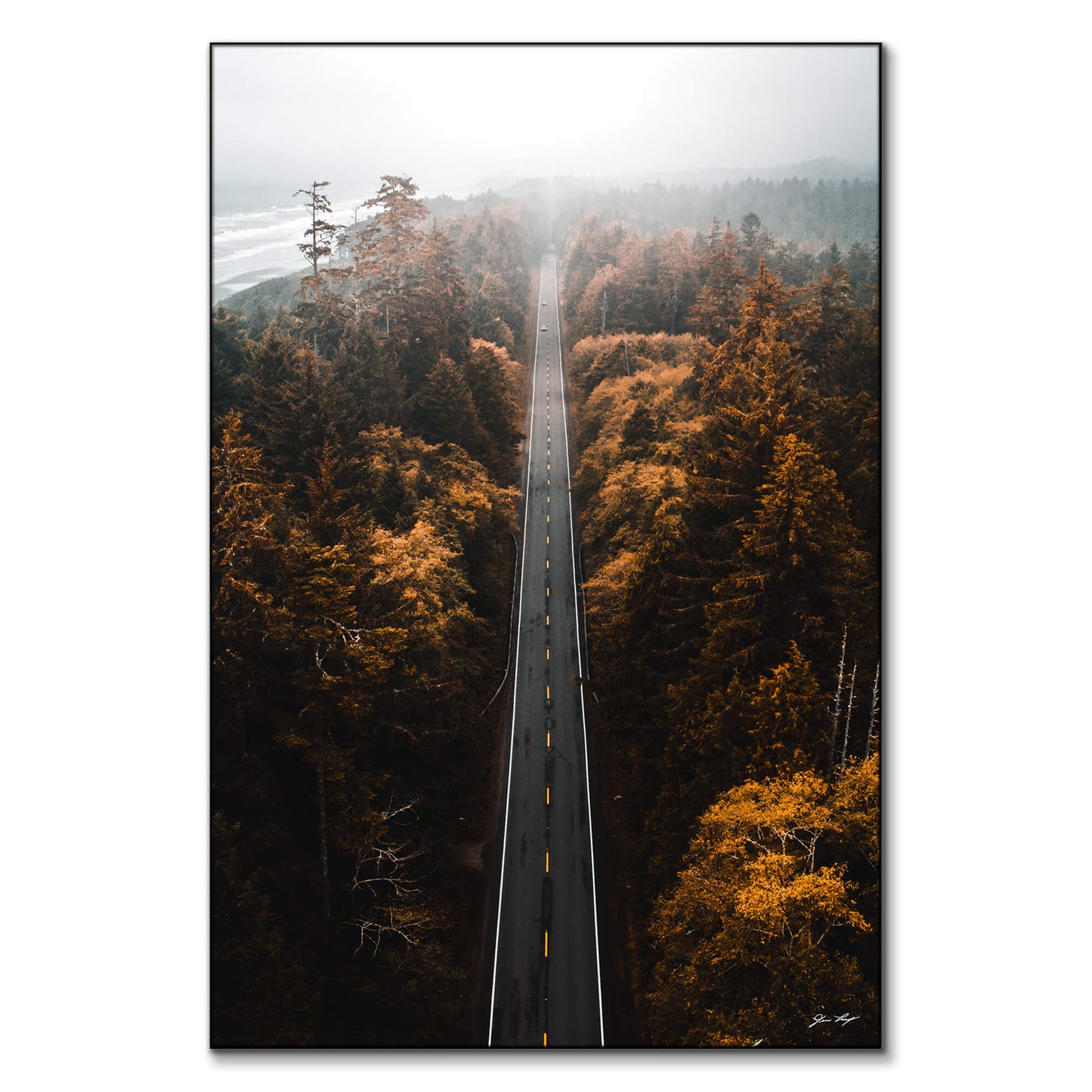 Aerial Trails