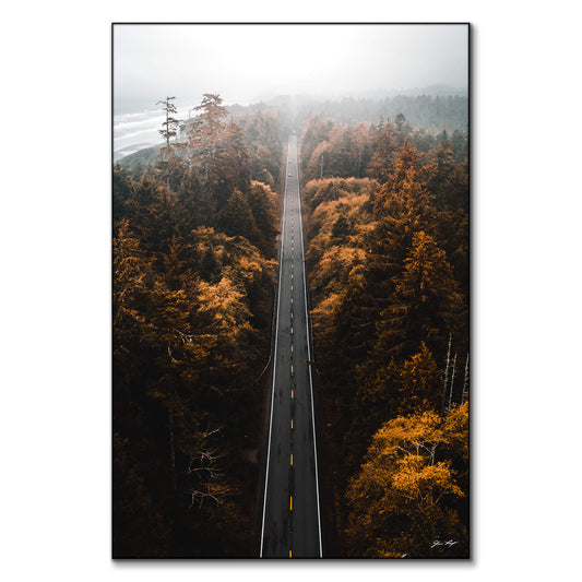 Aerial Trails
