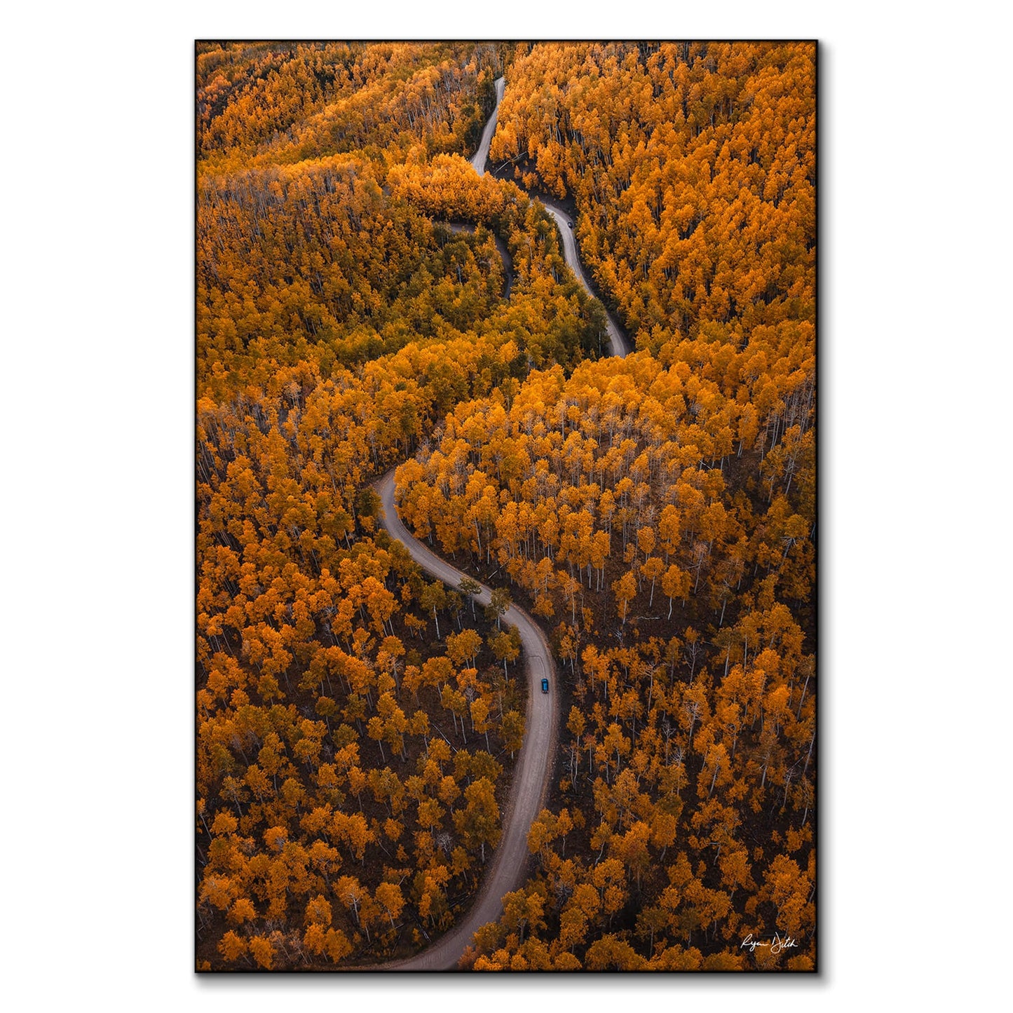 Autumn Drives