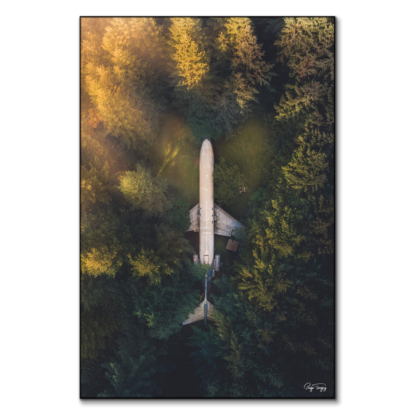 Plane