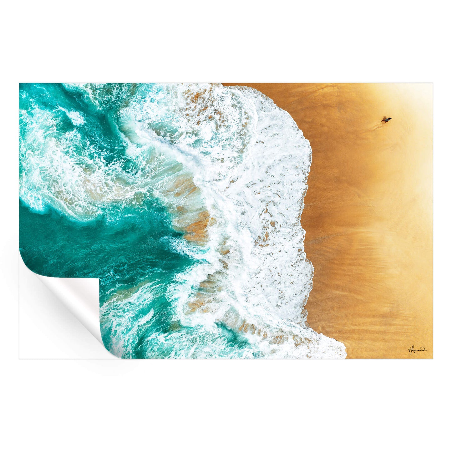 Aerial Summer