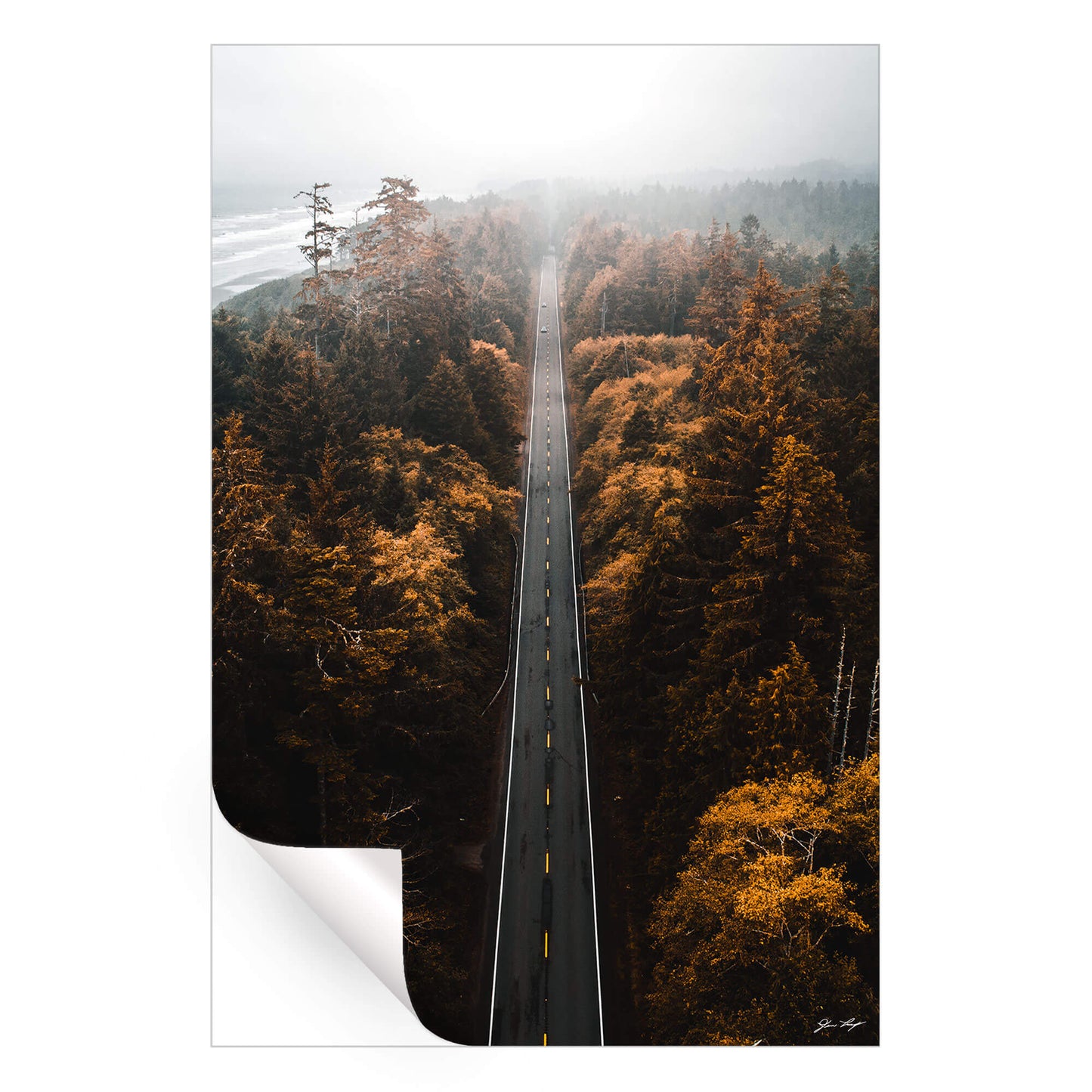 Aerial Trails