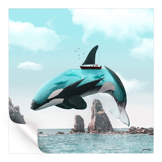 Aqua Orca