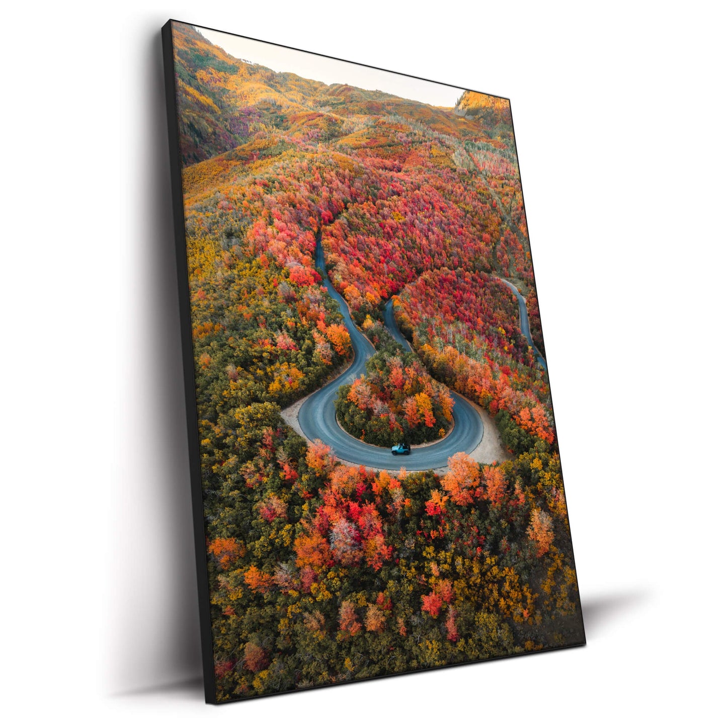 Autumn Road