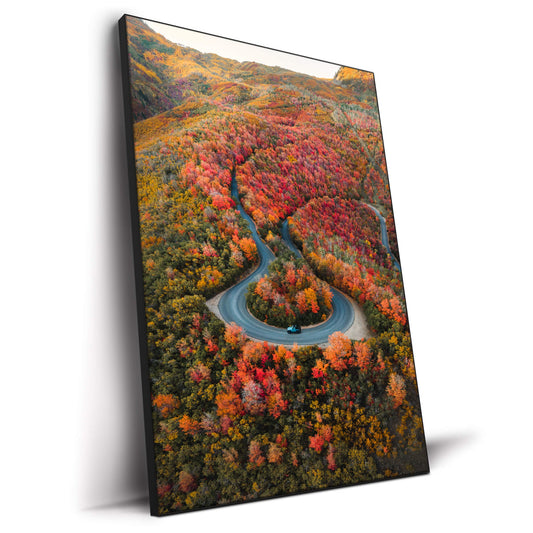 Autumn Road