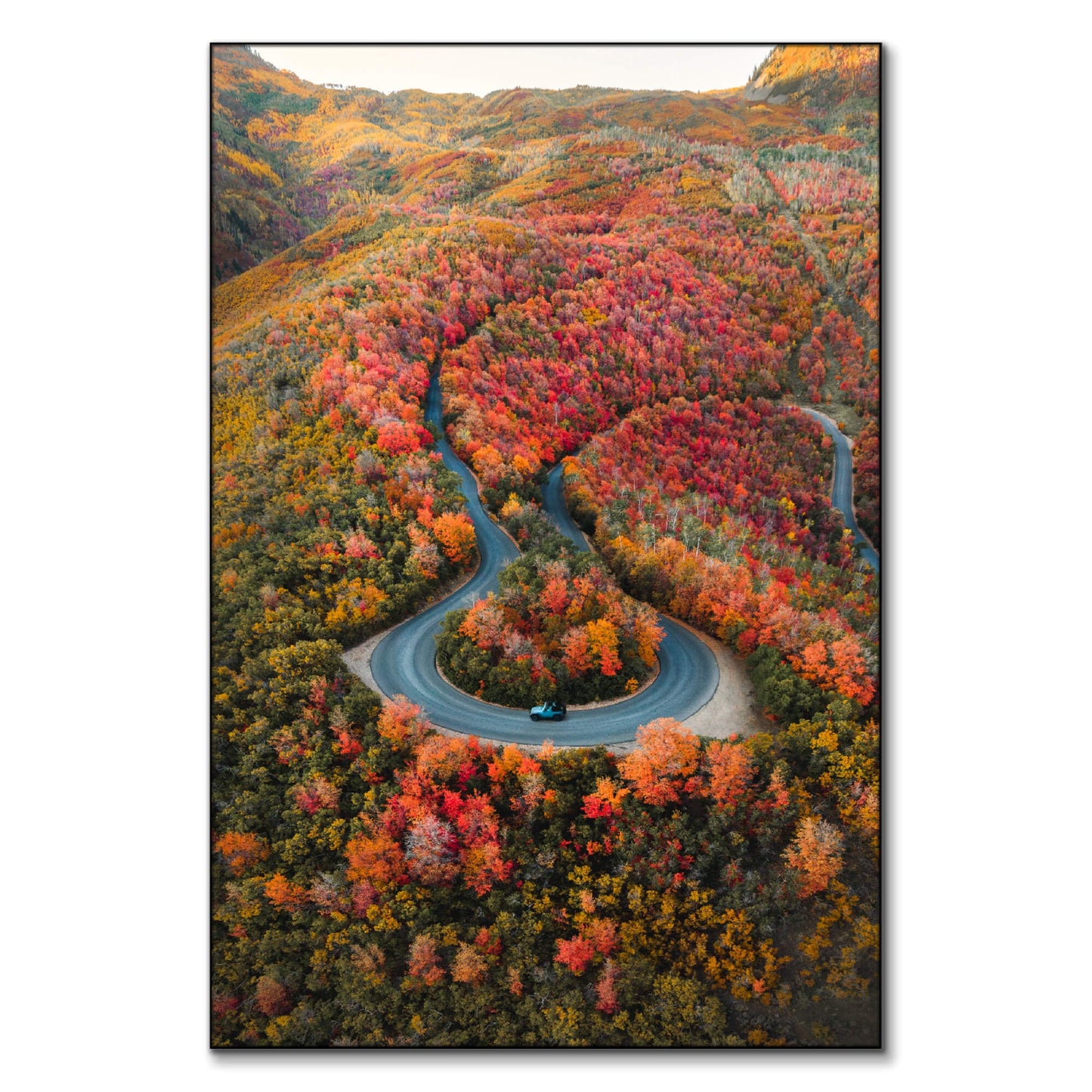 Autumn Road