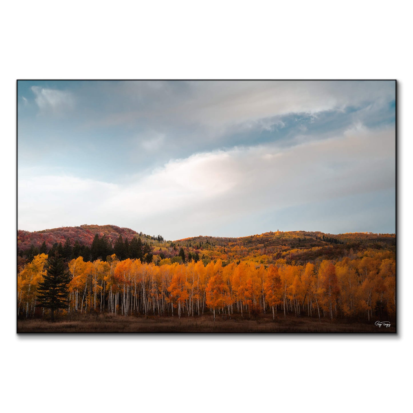 Autumn Hills