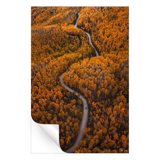 Autumn Drives