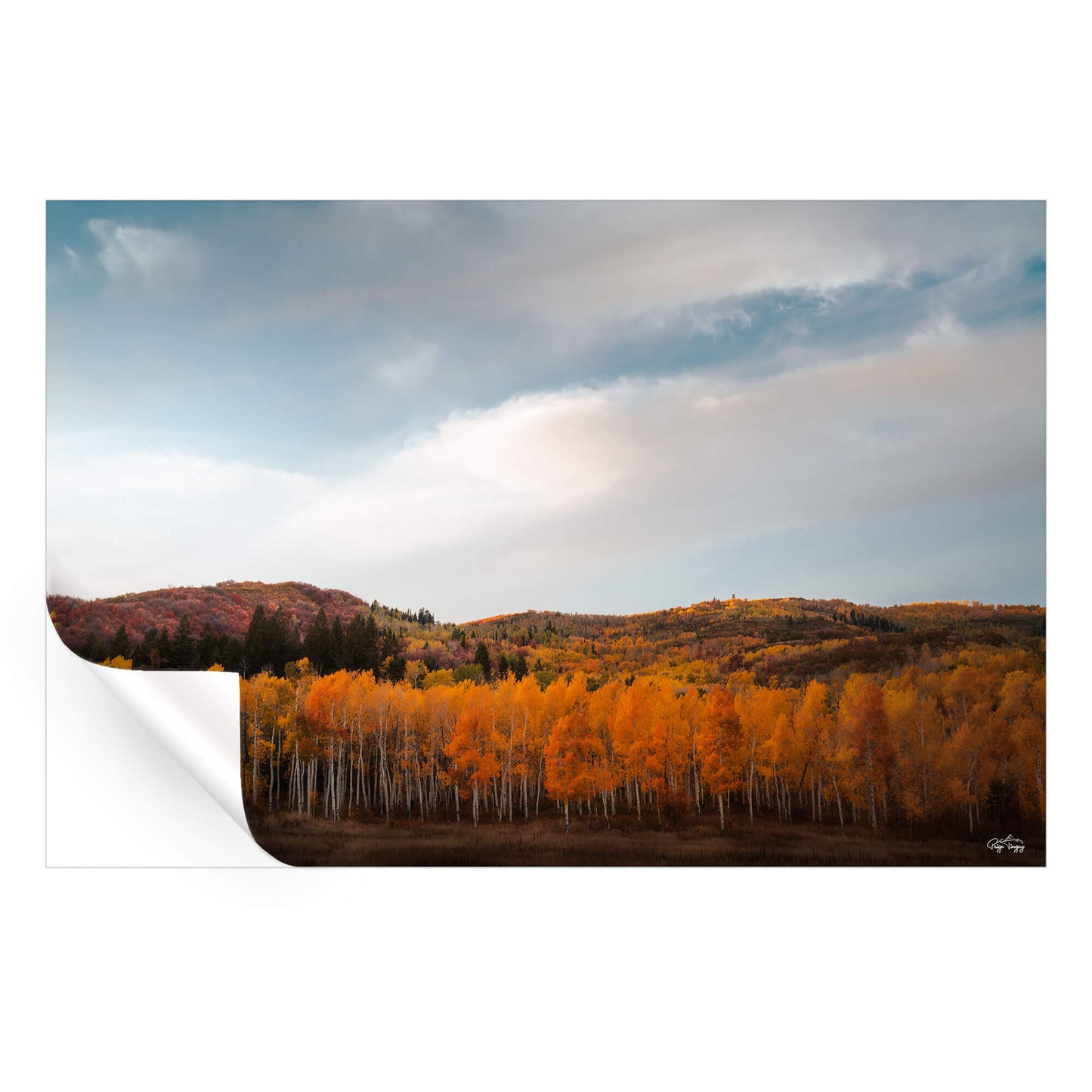 Autumn Hills