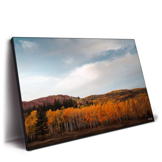 Autumn Hills