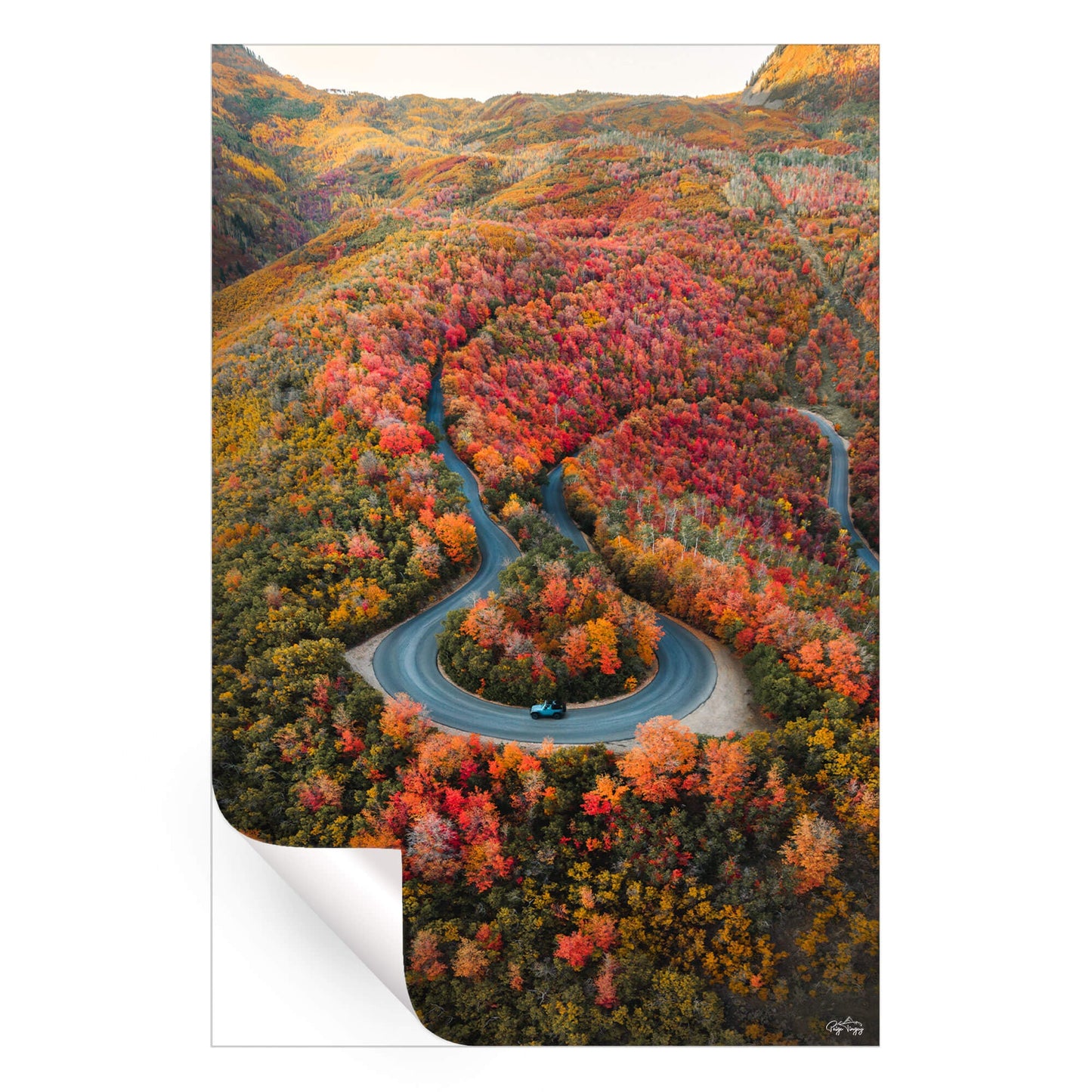 Autumn Road