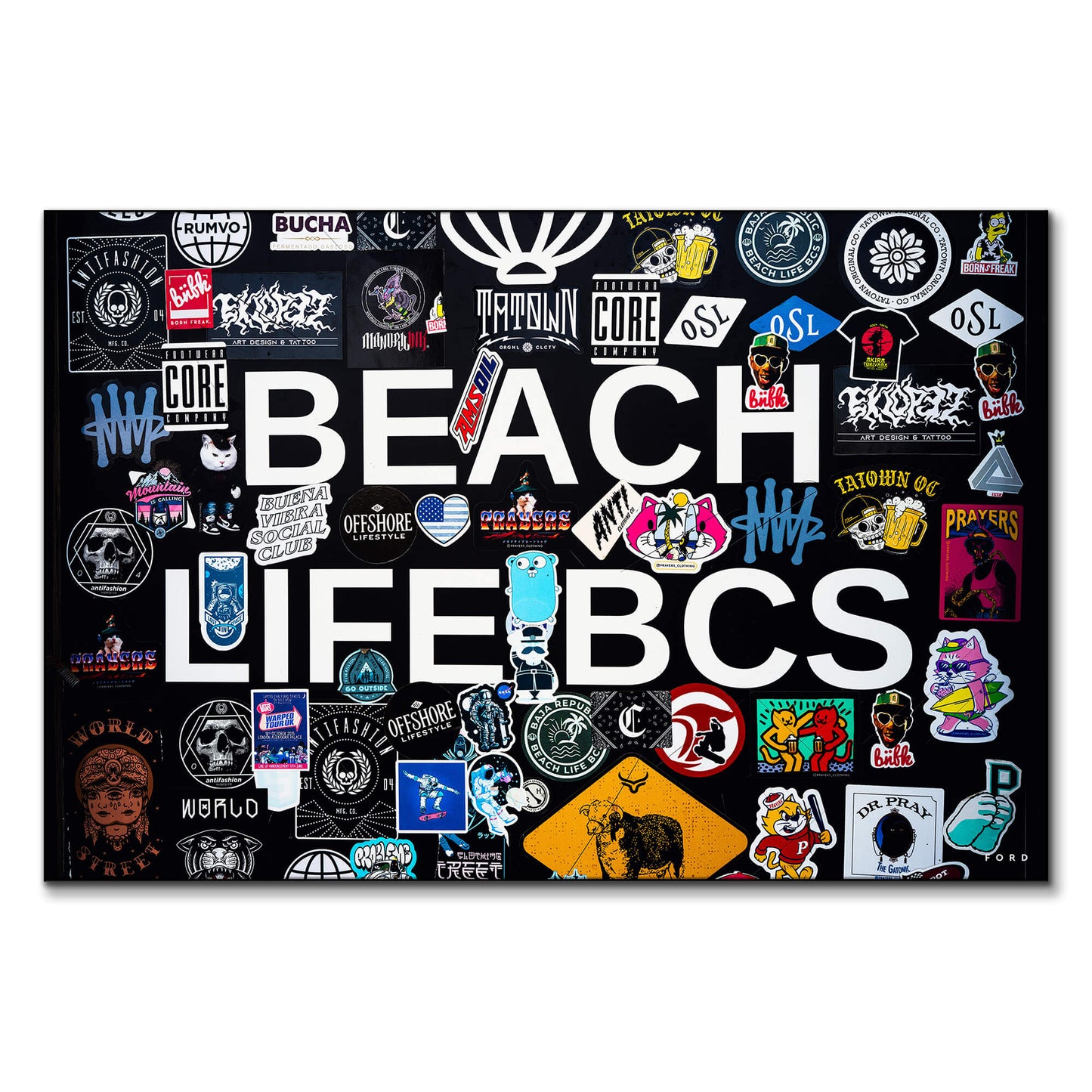 Baja Beach Life