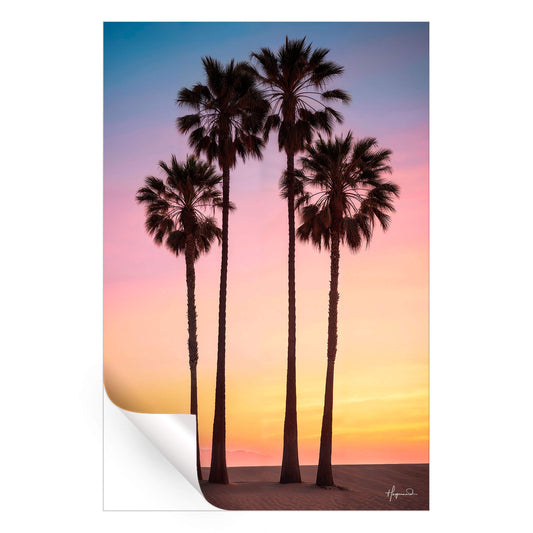 Beach Sunset Palms