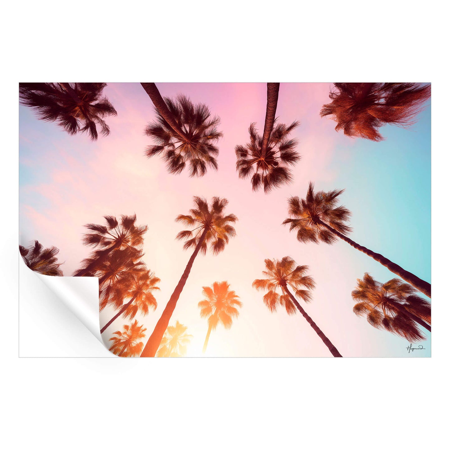 Beverly Hills Sunset Palms