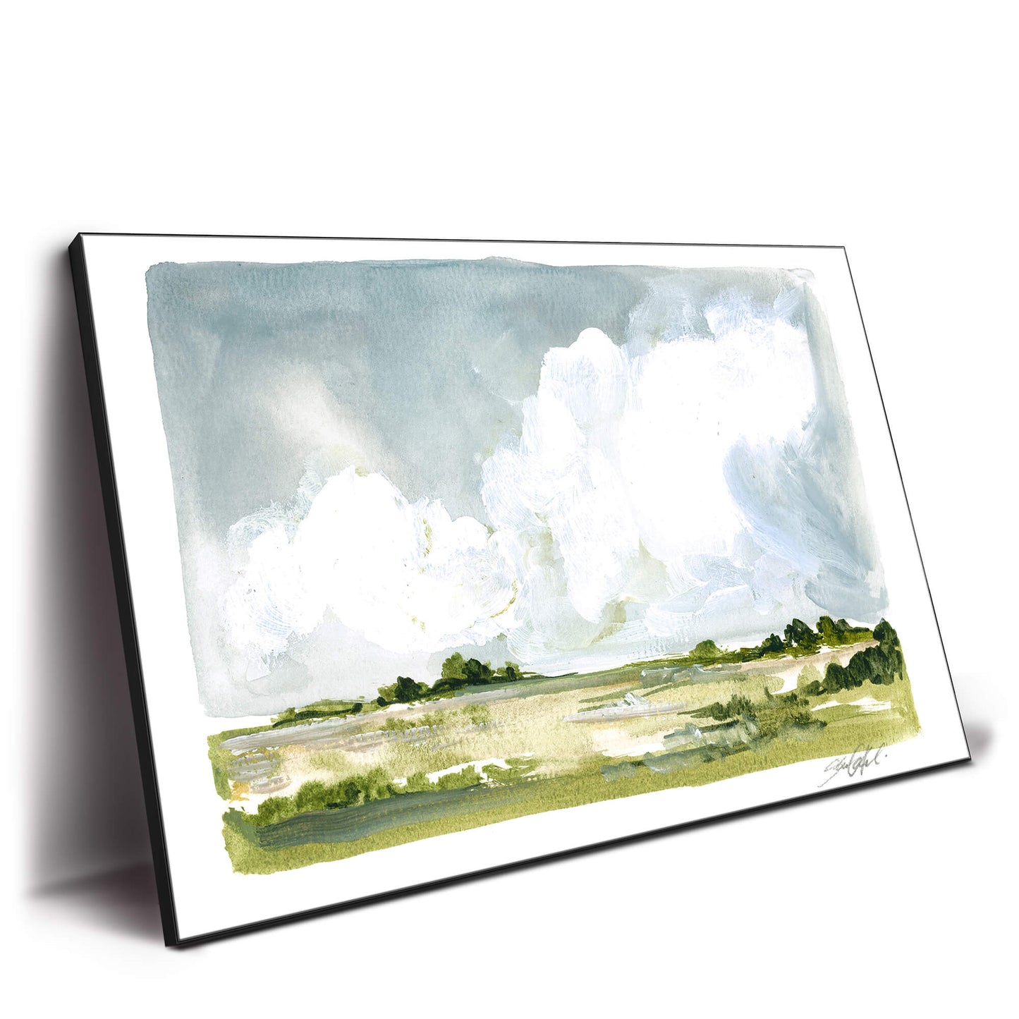 Big Sky Landscape