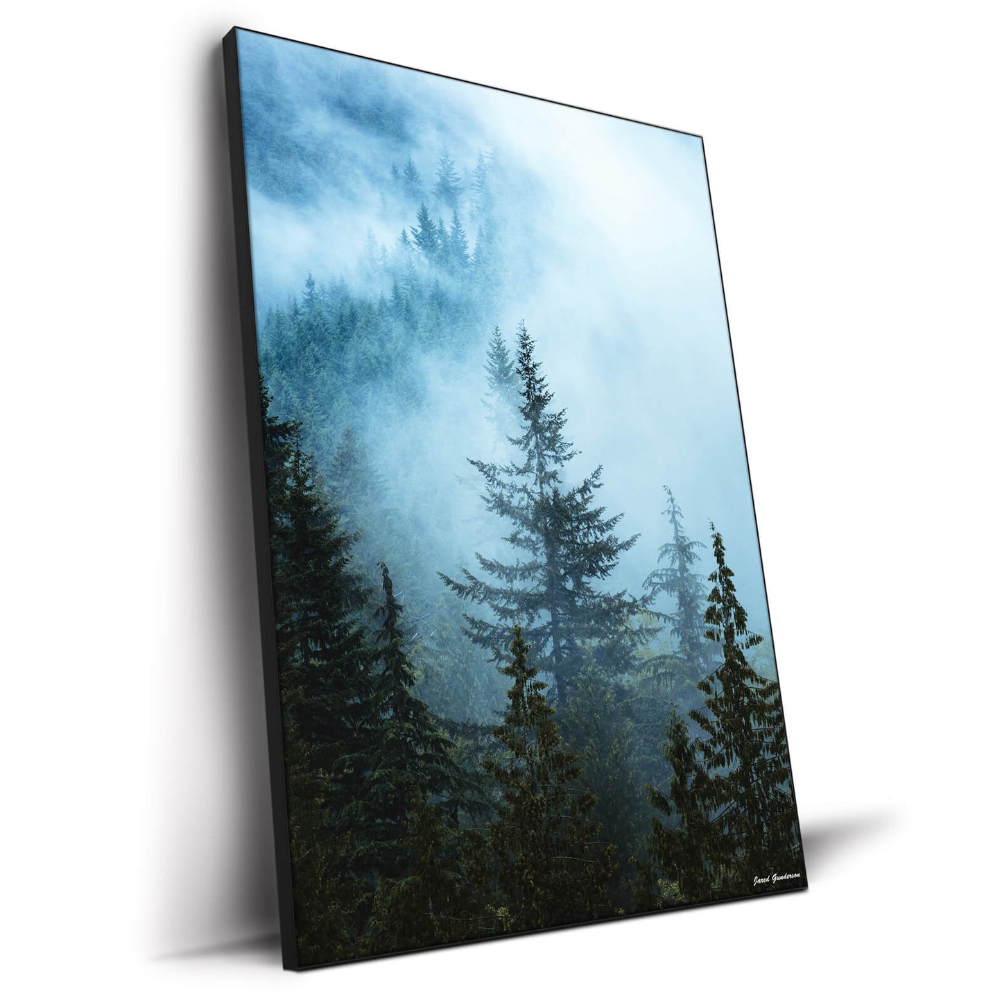Hazy Treetops
