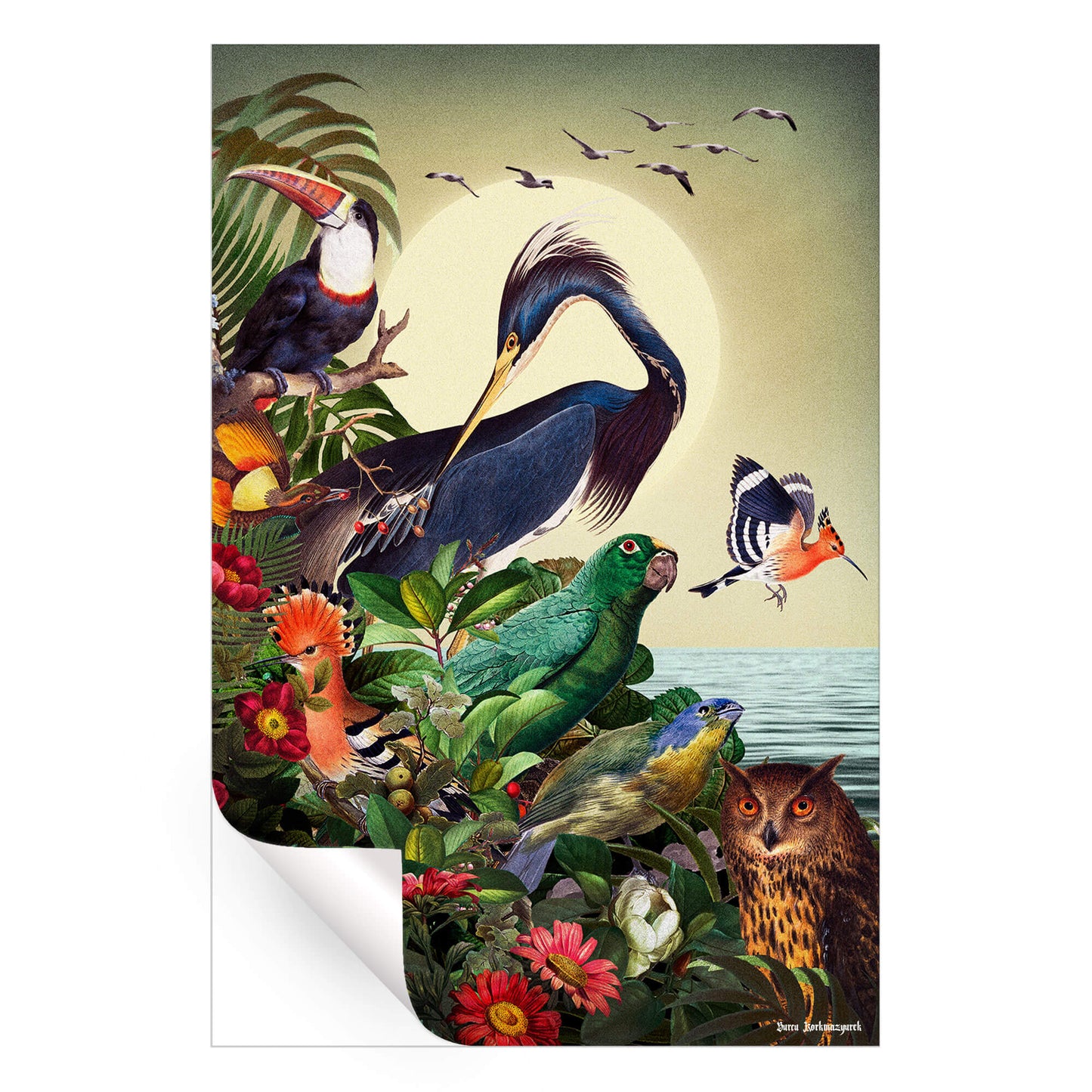 Birds World