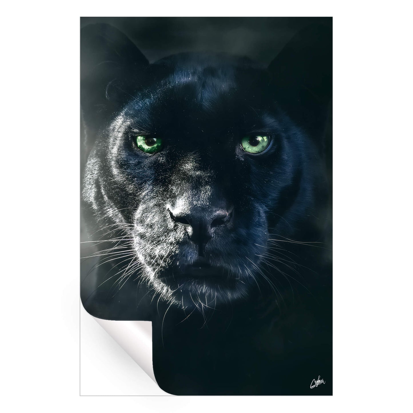 Black Panther