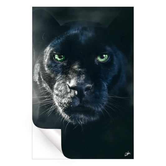 Black Panther