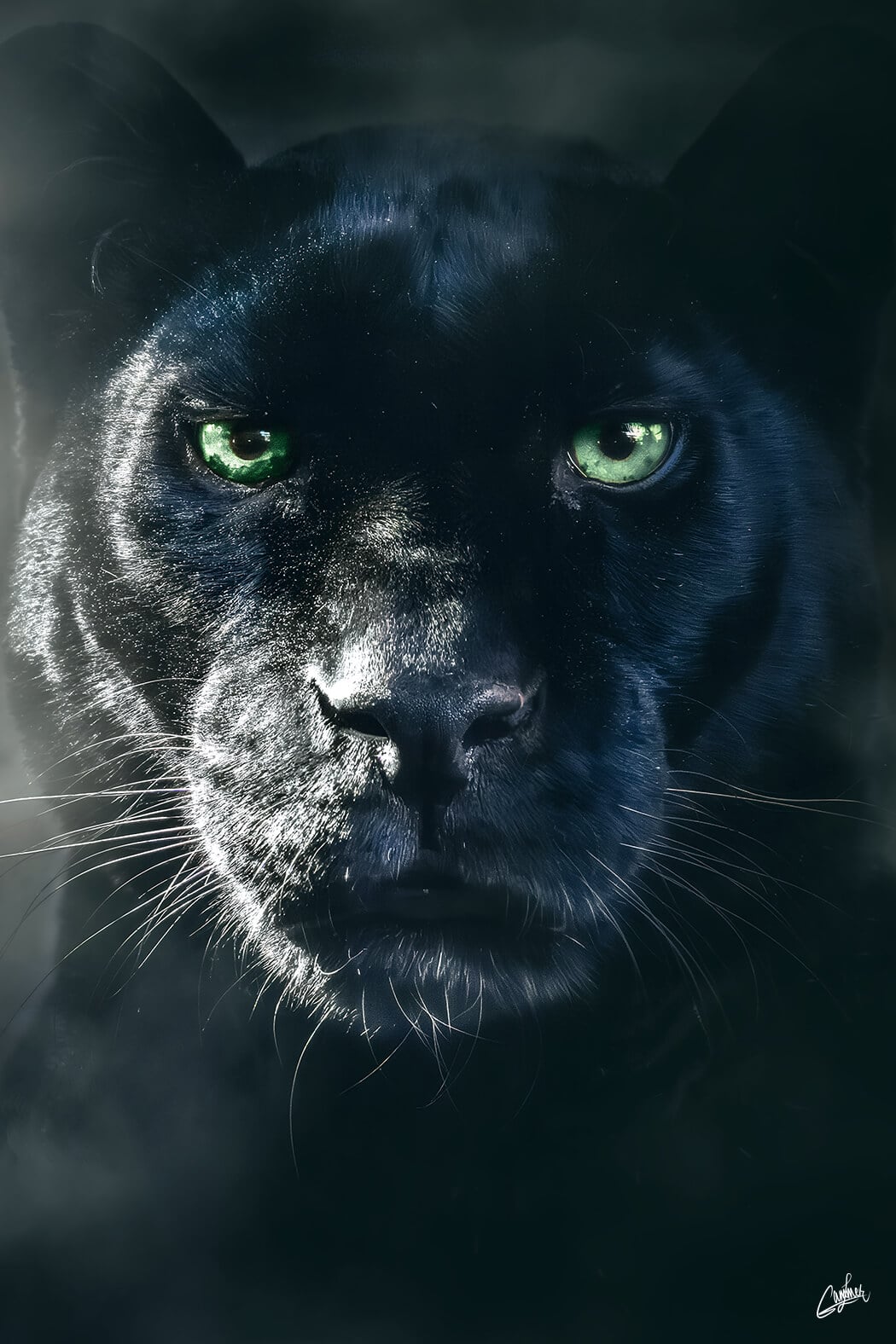 Black Panther