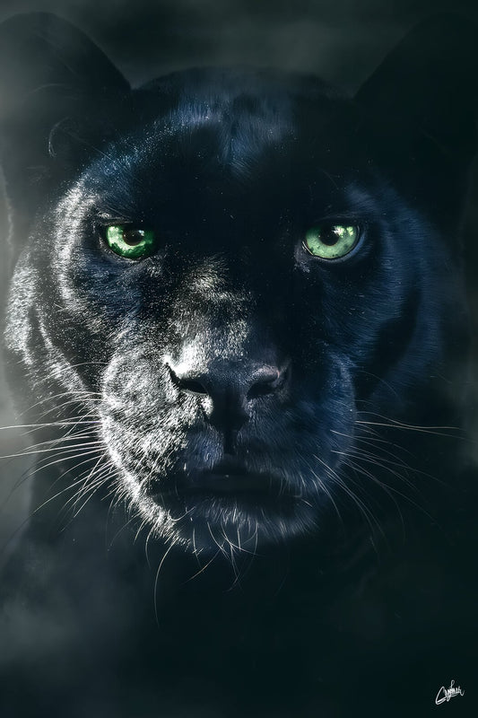 Black Panther